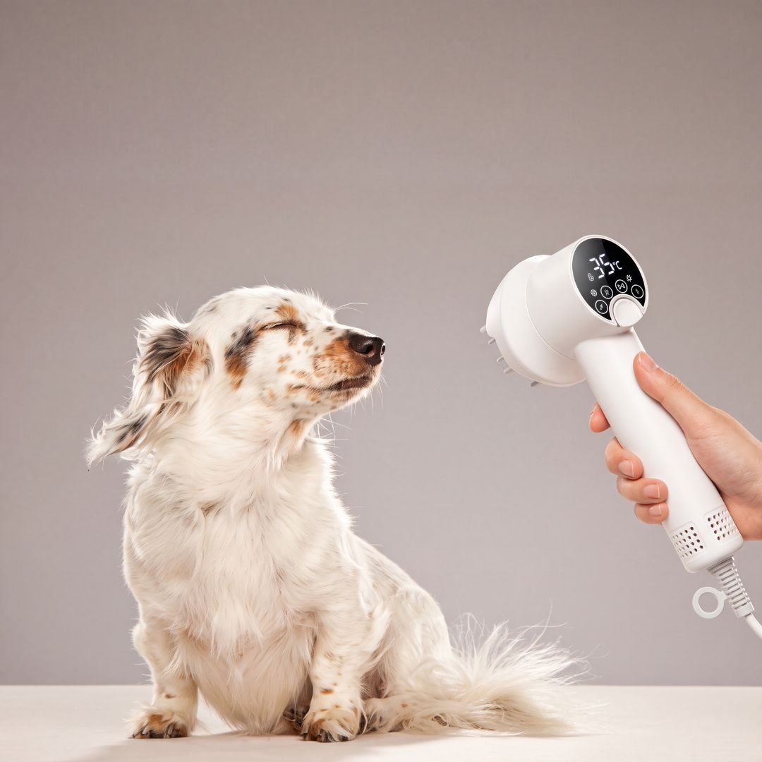 Smart Pet Hair Dryer